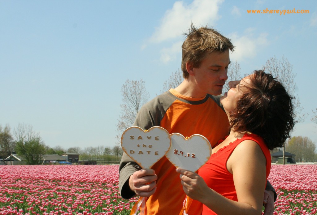 photo in a tulip field