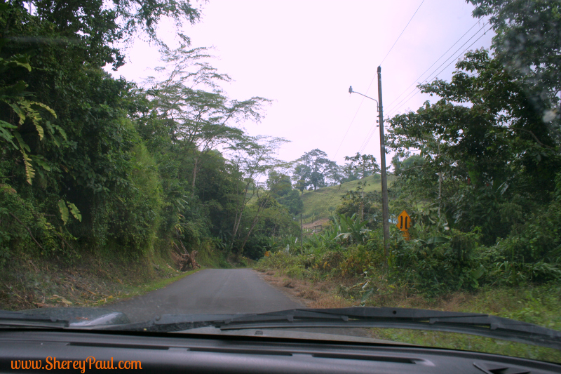 vamos rent a car 3 Shere y Paul