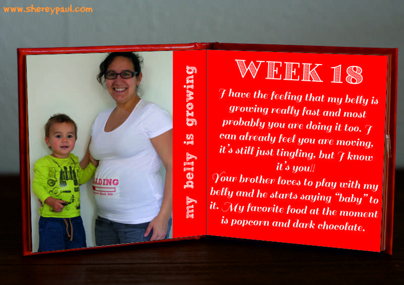 pregnancy diary: week 18