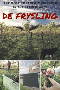 De Frysling