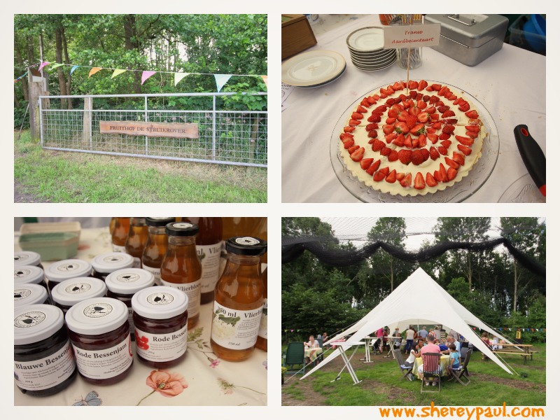 Where to pick blackberries in Friesland