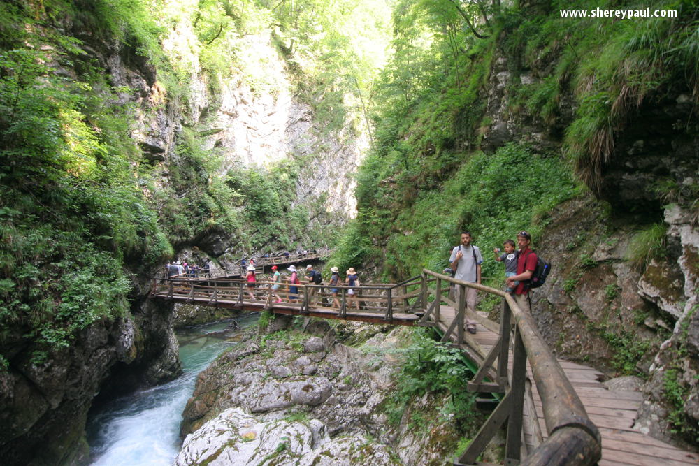 Slovenia with kids - vintgar gorge