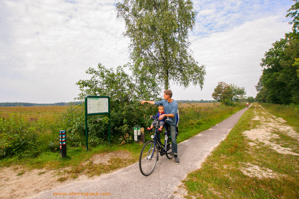 Friesland with kids: De Friese Wouden