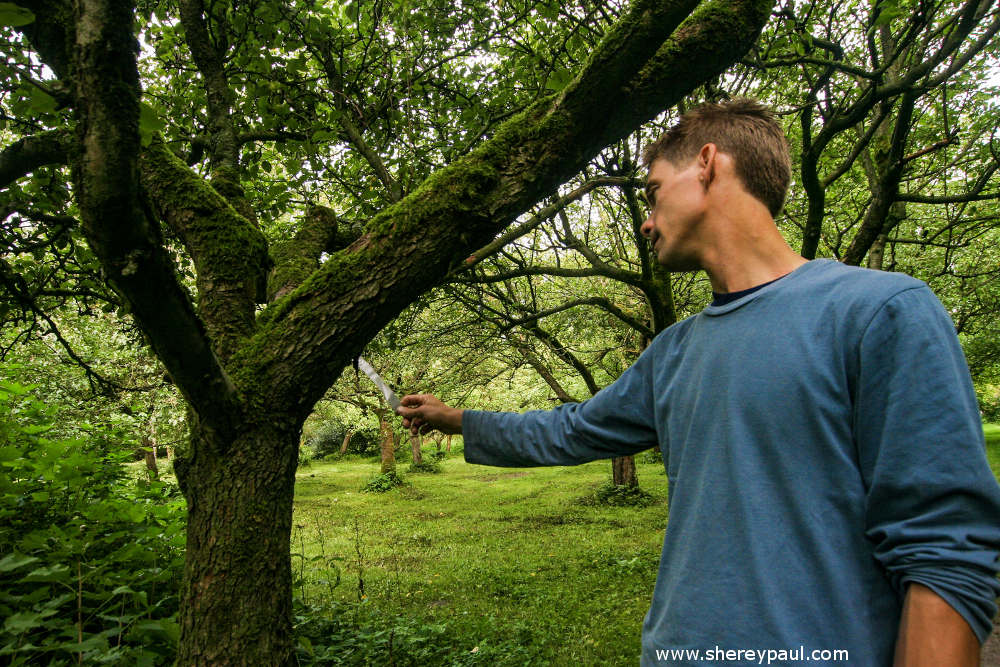 Friesland with kids: De Friese Wouden