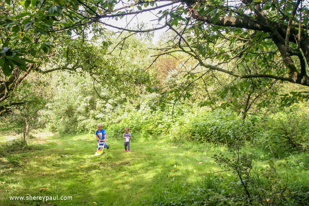 Friesland with kids: De Friese Wouden