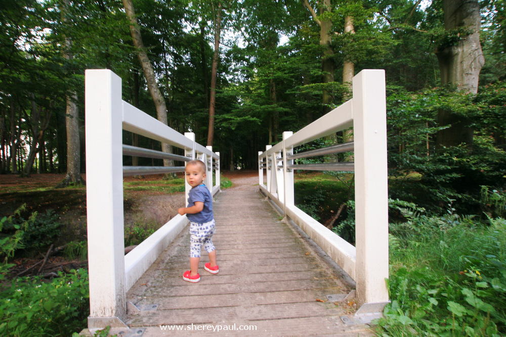 The path to De Slotplaats