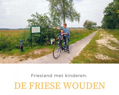 Friesland with kids: De Friese Wouden