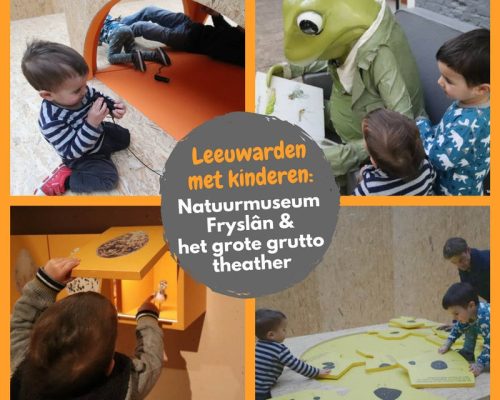 Leeuwarden met kinderen: Natuurmuseum Fryslân en het grote grutto theater