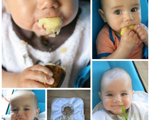 Baby led weaning - ww