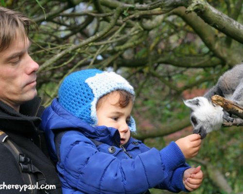 Activiteitein tijdens de lerarenstaking