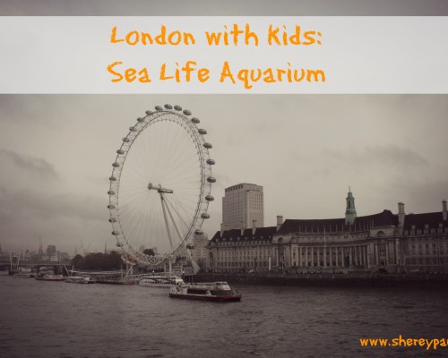London with kids: Sea life Aquarium