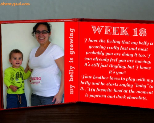 Pregnancy diary: week 18