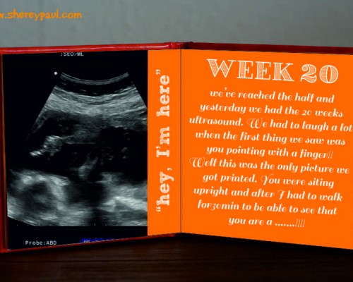 Pregnancy diary: week 20